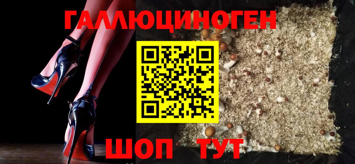 Галлюциногенные грибы прущие грибы  Галлюциногенные грибы GOLDEN TEACHER  Вход с VPN  Гуково 