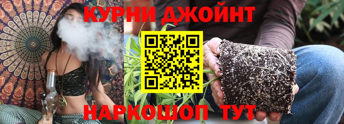 Канабис AK-47 Гуково